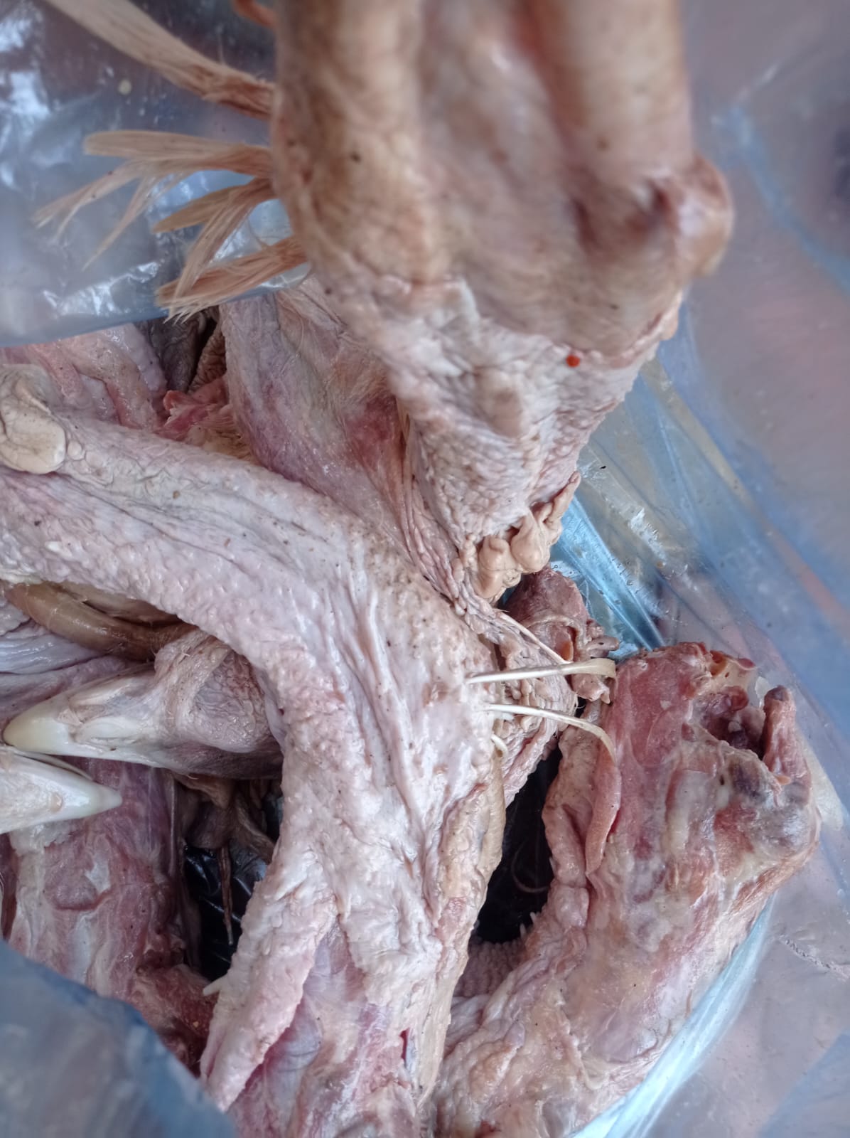  يواصل فريق التفتيش والصحة ببلدية دير البلح مصادرة وإتلاف المواد الغذائية الغير صالحة للاستخدام