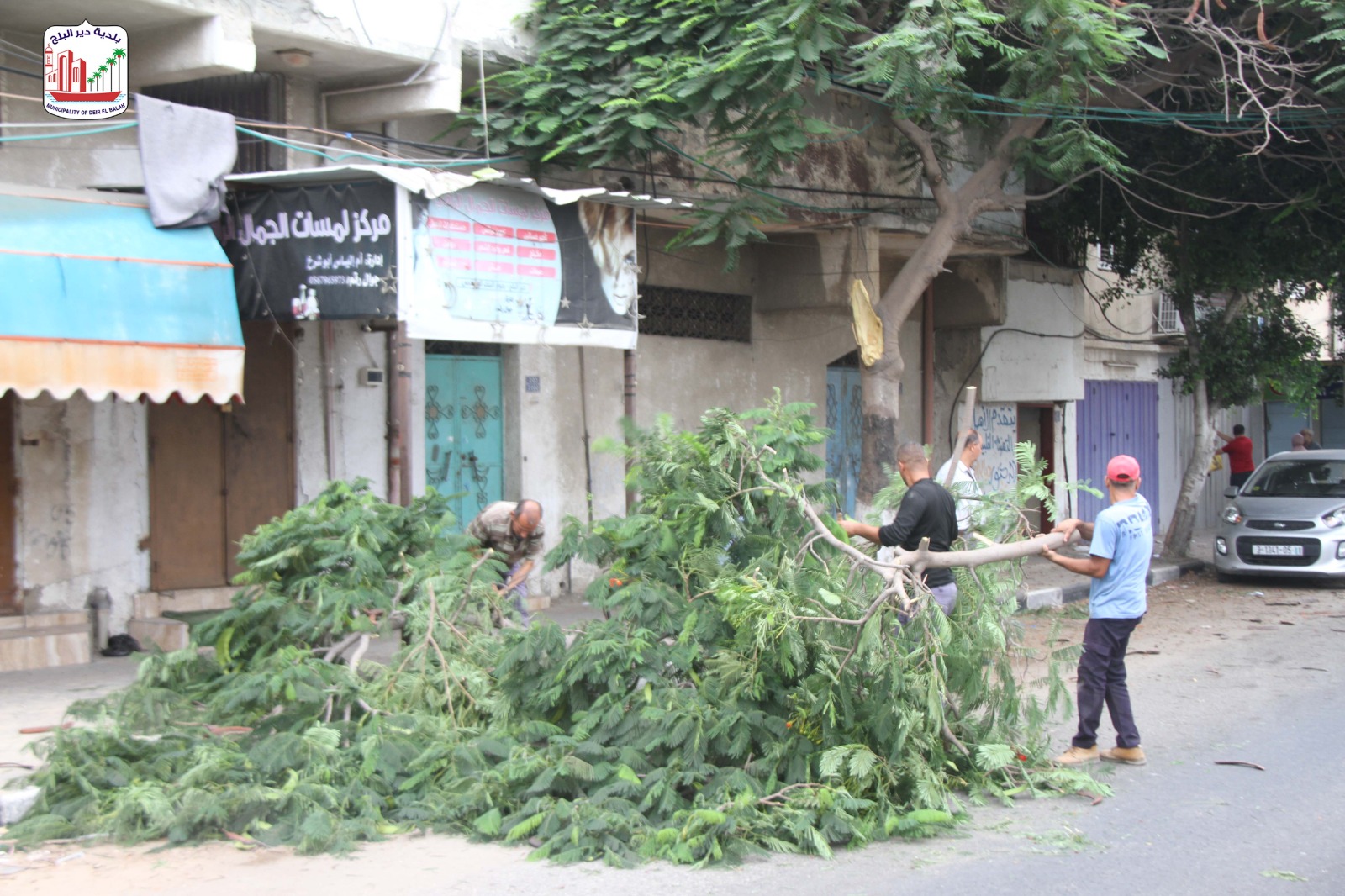 في إطار تحسين الجوانب البيئية.. إزالة أشجار تشكل عائق بشارعي الشهداء والترزي