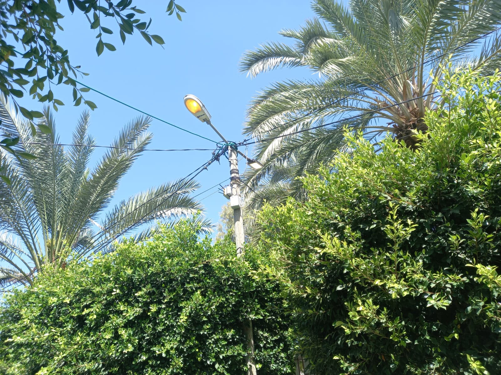 الانتهاء من صيانة منتزه البلدية الشرقي