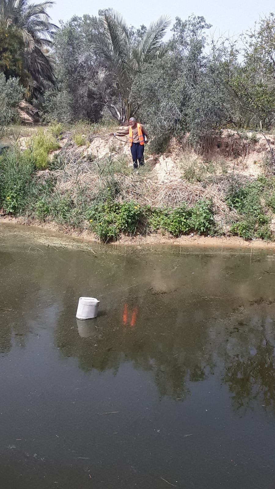 البدء بمكافحة حشرة البعوض بمناطق دير البلح