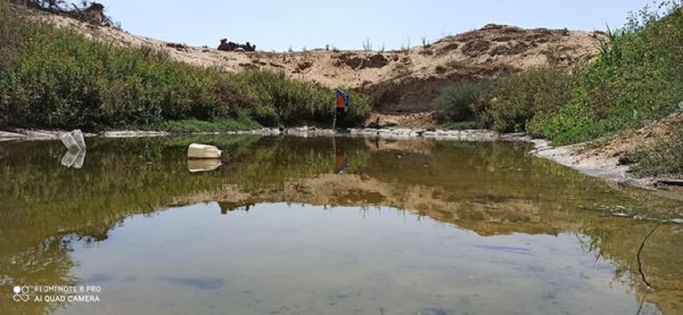 استمرار أعمال مكافحة البعوض بالمدينة
