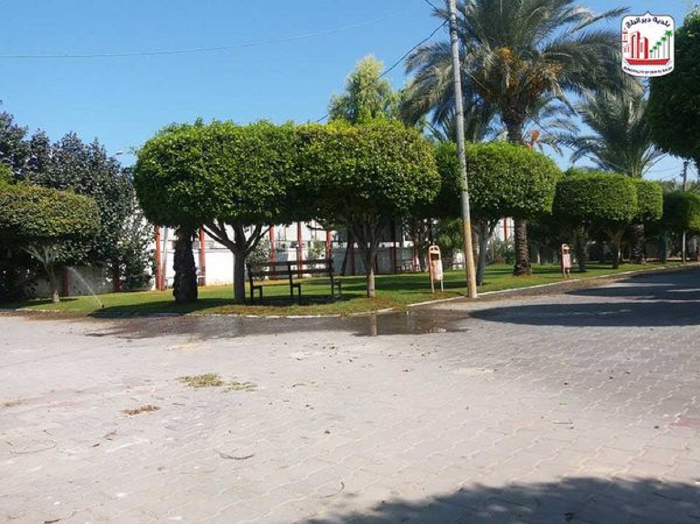 استمرار تقليم وتهذيب الأشجار بمنتزة البلدية