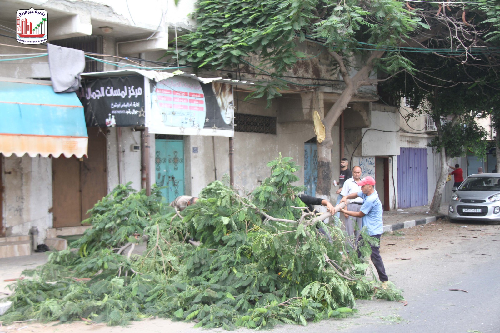 في إطار تحسين الجوانب البيئية.. إزالة أشجار تشكل عائق بشارعي الشهداء والترزي