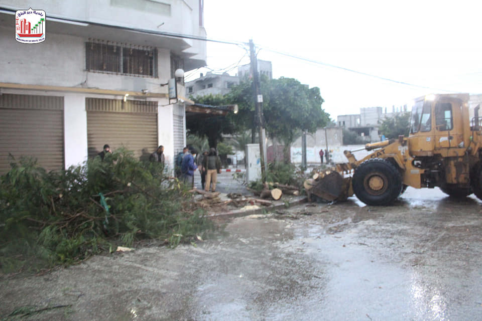خلال ساعات المنخفض.. إزالة شجرة وقعت بسبب الرياح دون حدوث أضرار