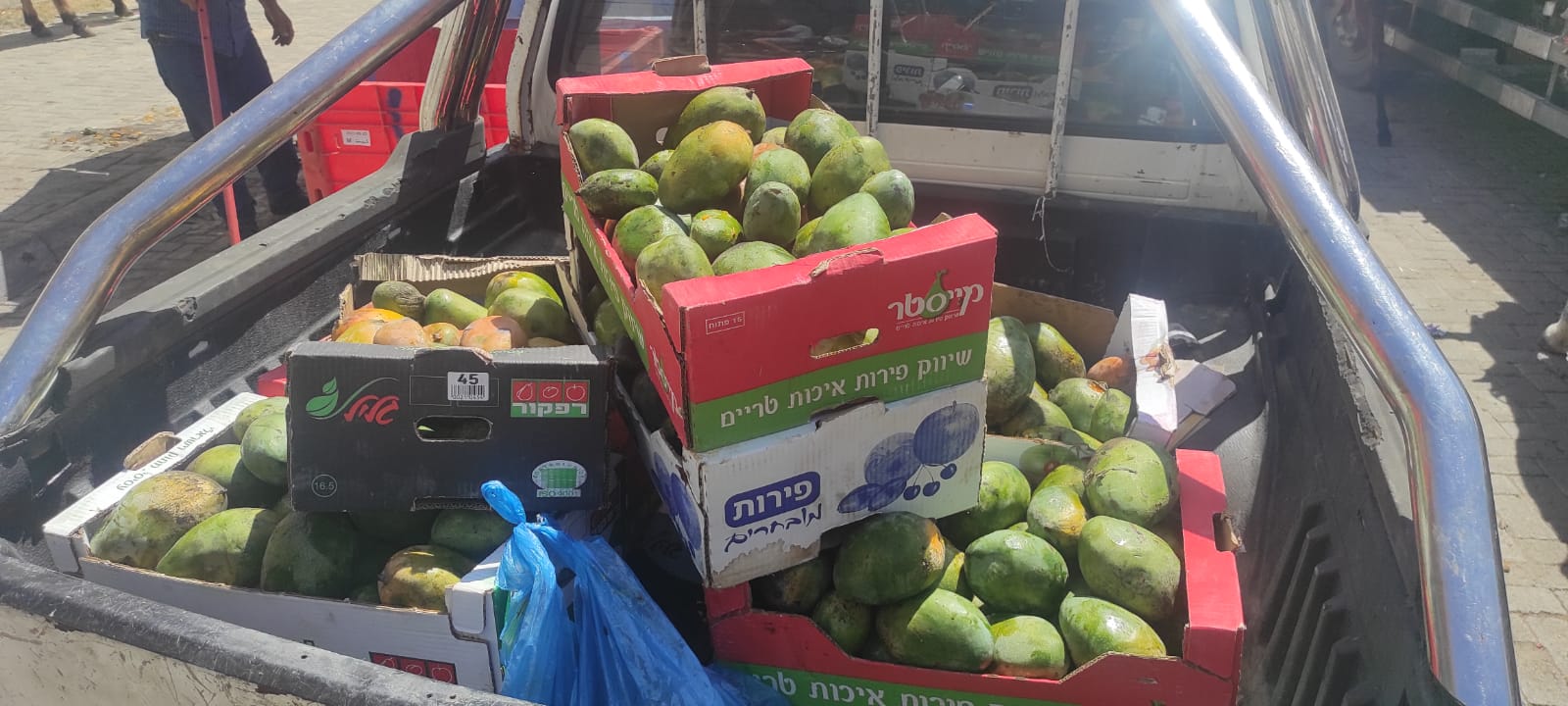 إتلاف 270 من الفواكه ضمن الجولات المتواصلة لفريق التفتيش للمحلات بدير البلح