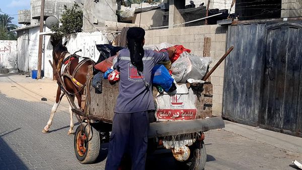 385 طن من النفايات تم جمعها وترحيلها من دير البلح خلال عيد الأضحى
