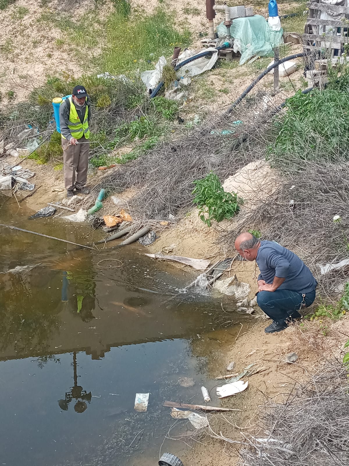 بلدية دير البلح تبدأ بمكافحة حشرة البعوض بمناطق المدينة