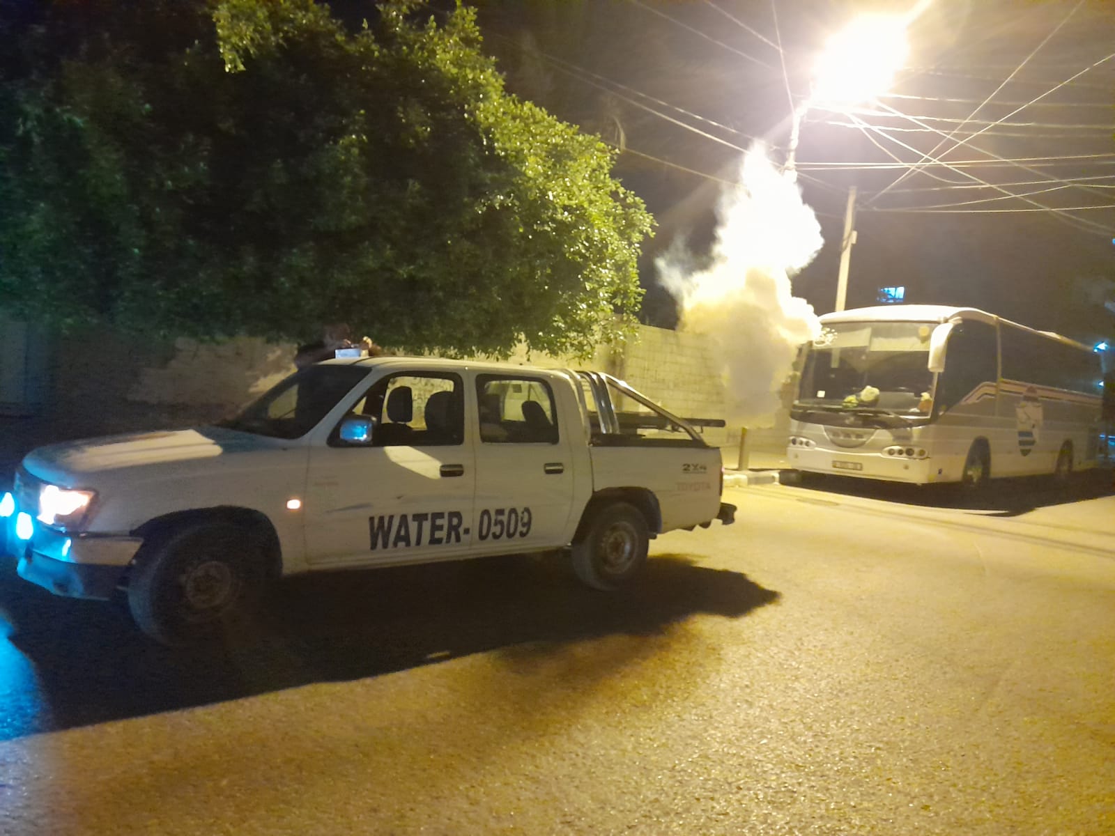 .استمرار مكافحة حشرة البعوض بالمدينة