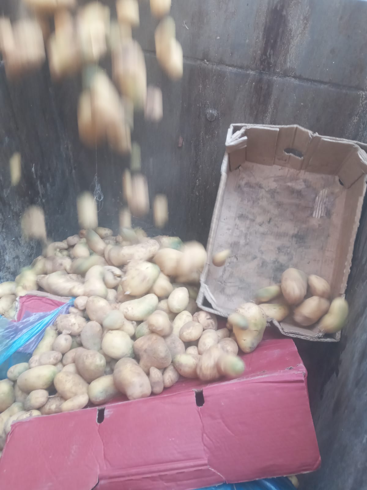 إتلاف العديد من المواد الغذائية الفاسدة في إطار الجولات المستمرة للأسواق والمحلات بدير البلح