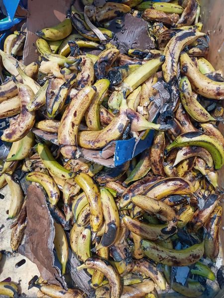 ضبط واتلاف 370 كيلو موز بالتعاون مع شرطة البلديات ووزارة الاقتصاد