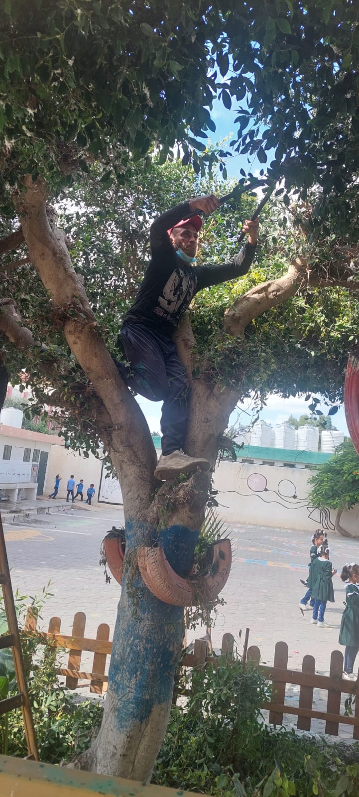 في إطار التعاون المشترك... قسم الحدائق يقوم بتقليم الأشجار بمدرسة رودلف فلتر