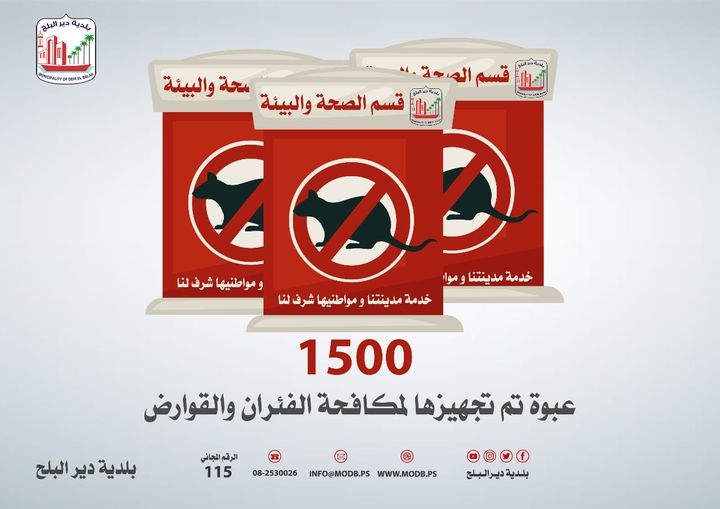 استمرار مكافحة الفئران والقوارض بالمدينة